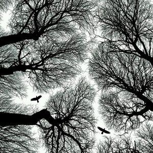 Meet your Posher, Shari